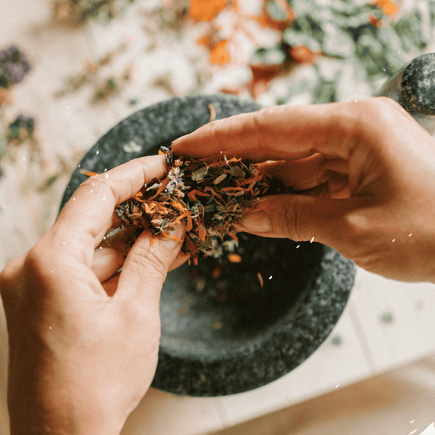 Radionica „Narodni pripravci za podizanje imuniteta“